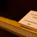 _IMG_2370.JPG