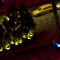 _IMG_7098.JPG