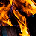 _IMG_0623.JPG