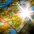 _IMG_5771.JPG