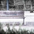 _IMG_0845.JPG