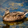 IMG_7248.jpg