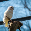 IMG_2674.jpg