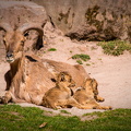 IMG_2897.jpg