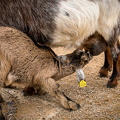 IMG_3782.jpg