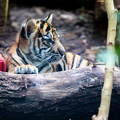KL2A5649.jpg