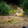 KL2A8503.jpg