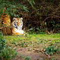 KL2A8520.jpg