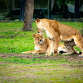 KL2A8568.jpg