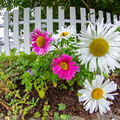 KL2A8537.jpg